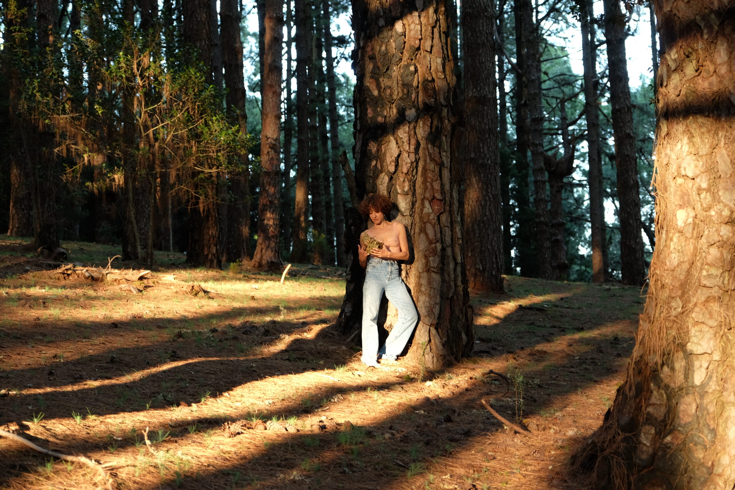 Cartel del evento «Las magias»