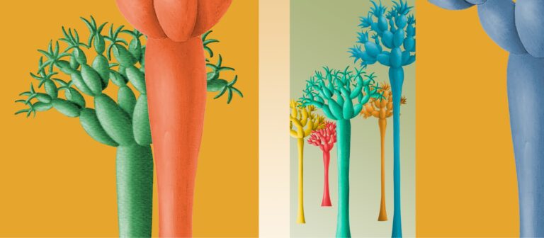 Drakaina Draco y las 7 semillas mágicas