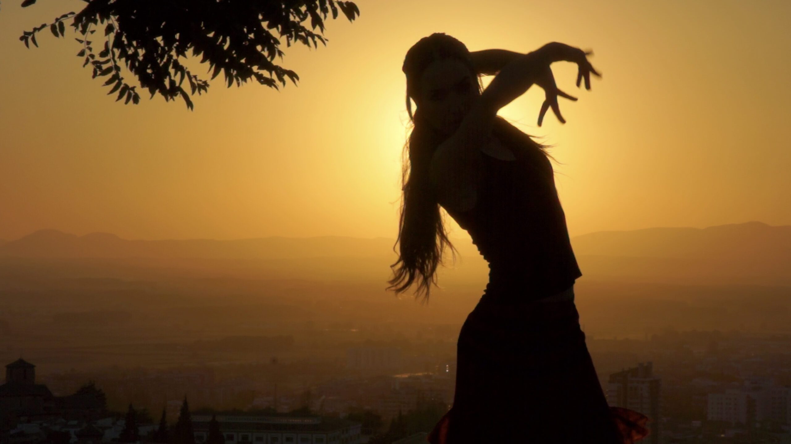 Cartel del evento «El gato montés (Penella)»