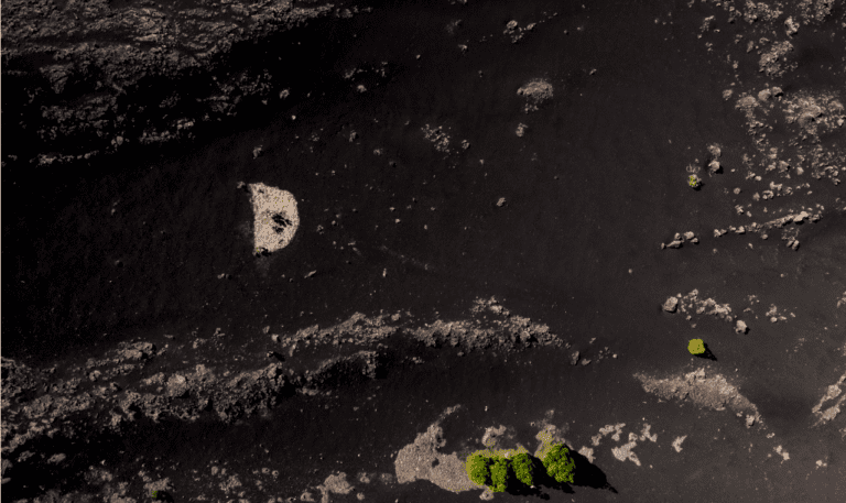 Der Diktator (Krenek) y Der Kaiser von Atlantis (Ullmann) Doble programa de ópera