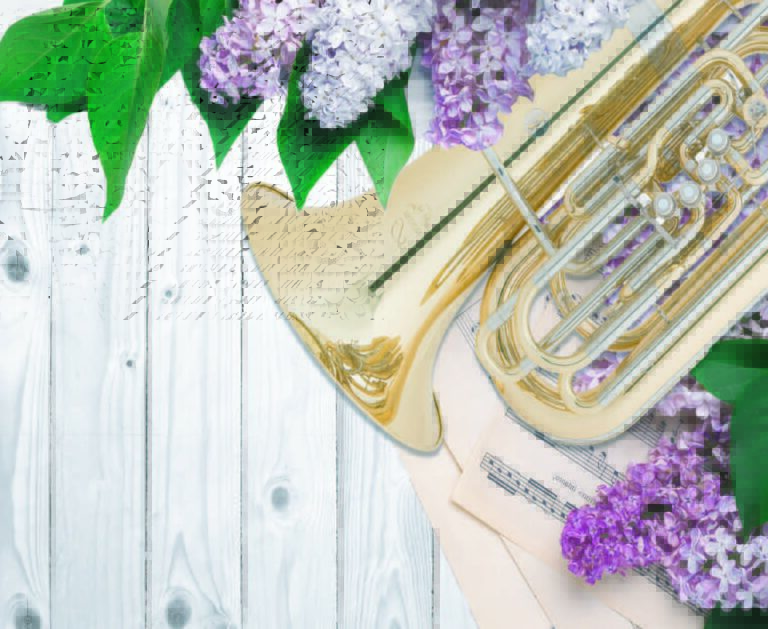 Primavera Musical (3º)