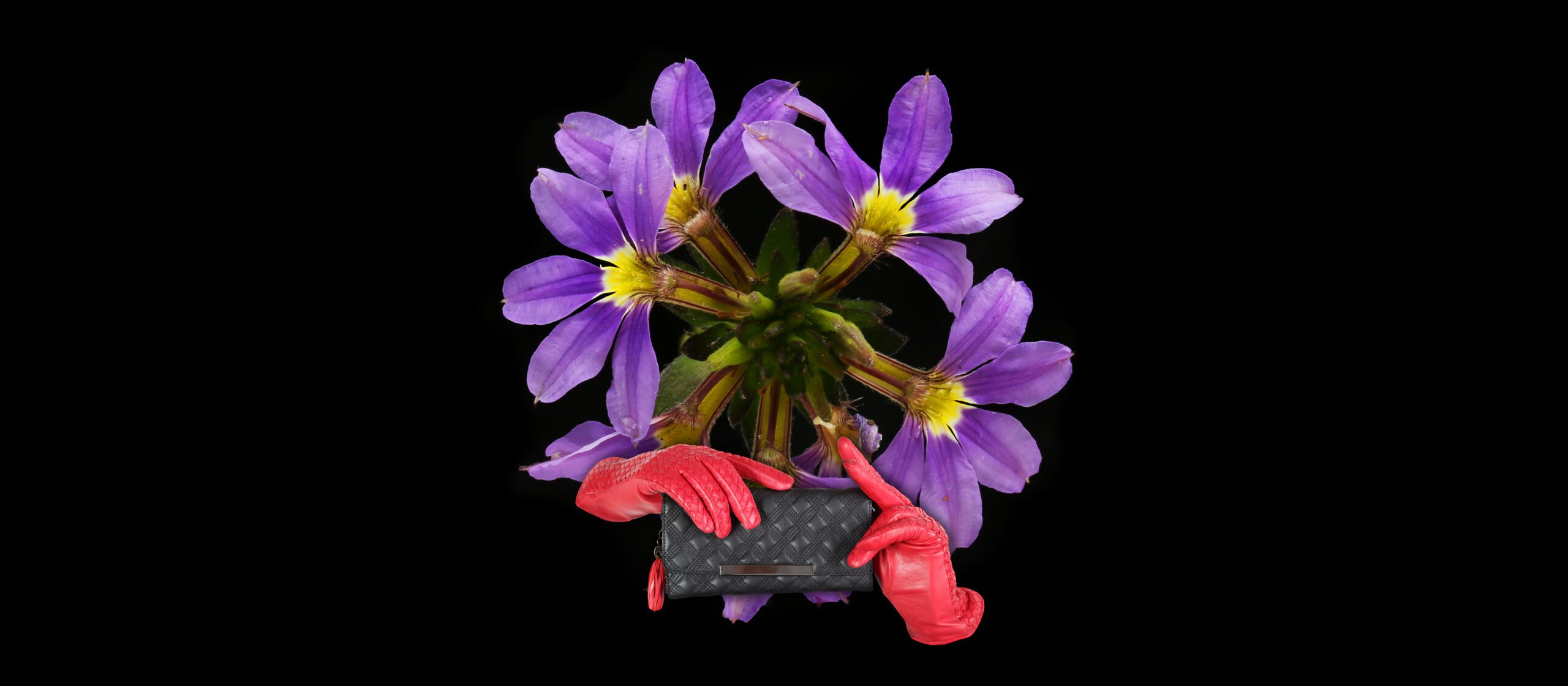 Cartel del evento «The old maid and the thief»