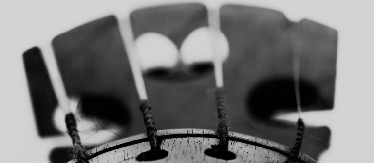 Tenerife Viola Masterclass Ensemble