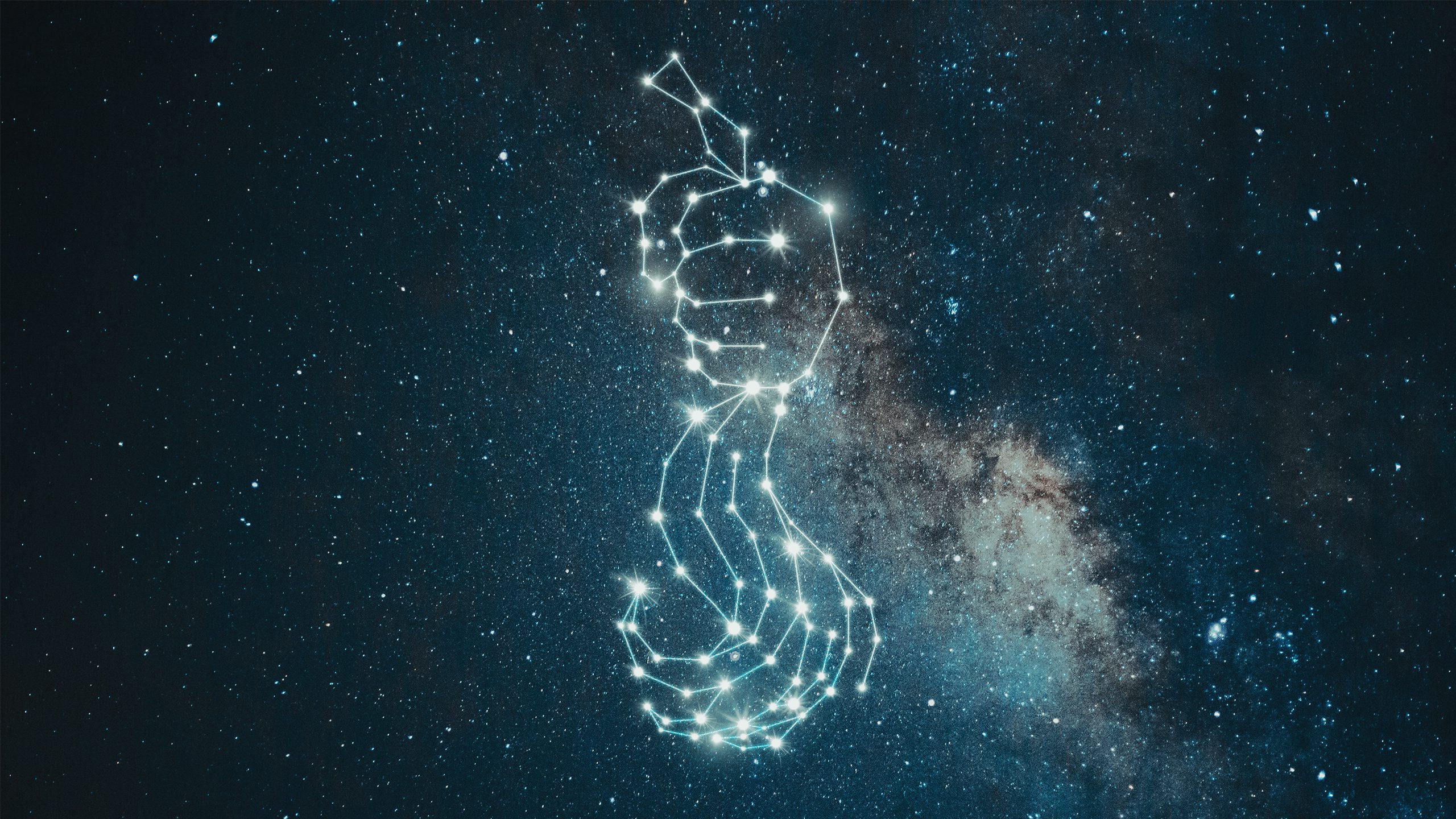 Cartel del evento «Samson et Dalila»