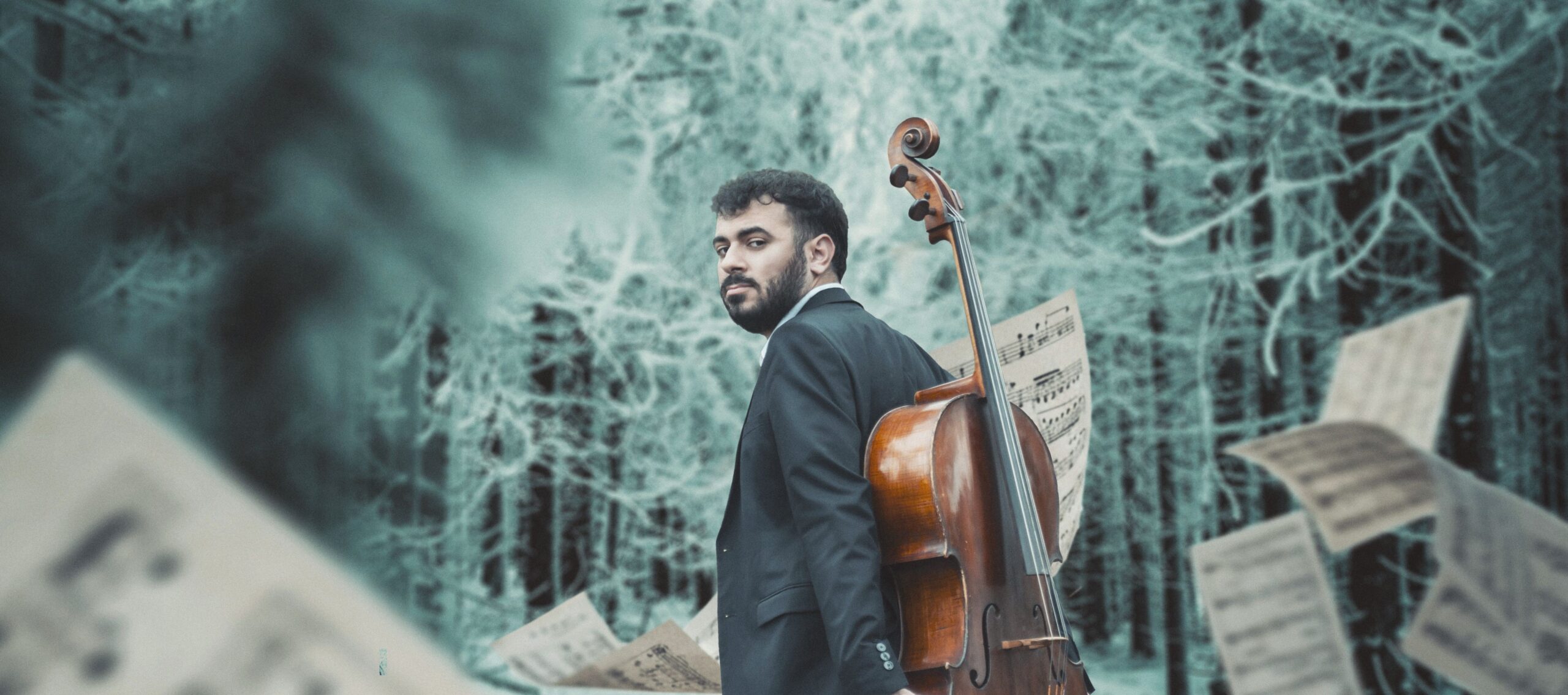 Cartel del evento «Concierto de año nuevo»